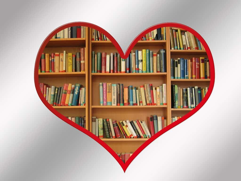 Books on a bookshelf framed in a red heart, suggesting that we love our books.
