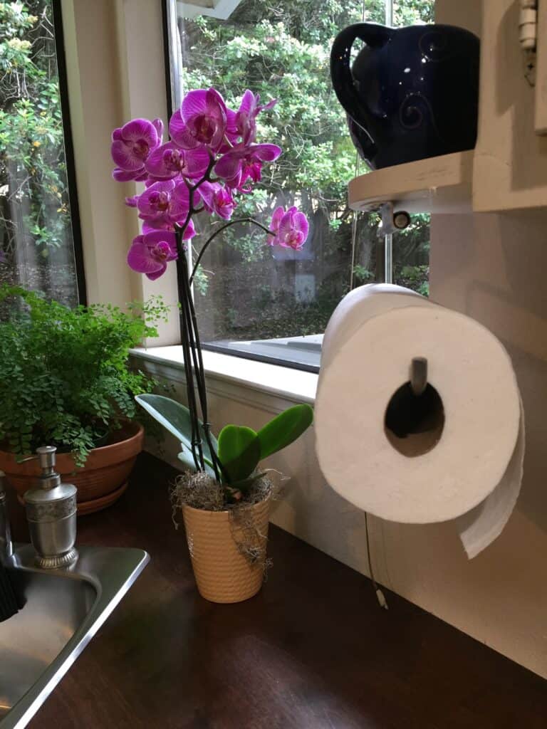 Dish Towels vs. Paper Towels: What's Better for the Environment? - Finch