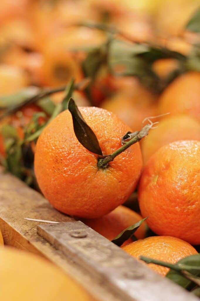 fruit, orange, clementine-4637398.jpg